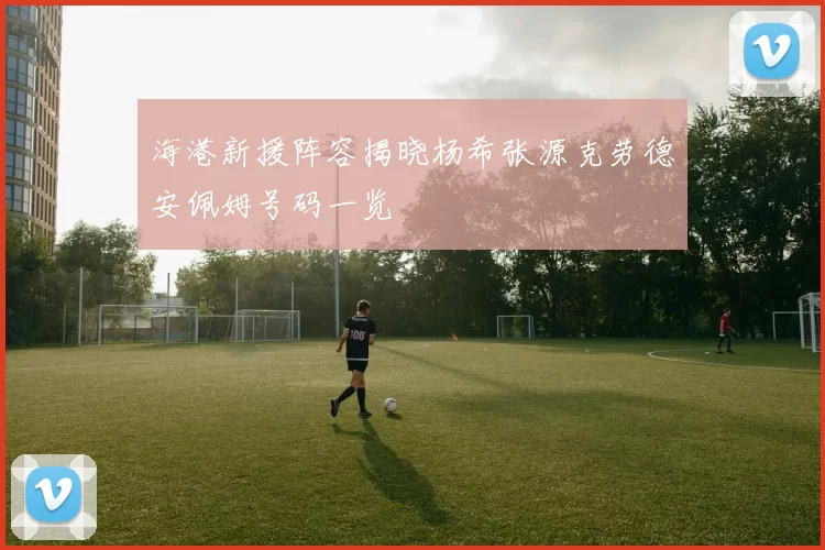 海港新援阵容揭晓杨希张源克劳德安佩姆号码一览
