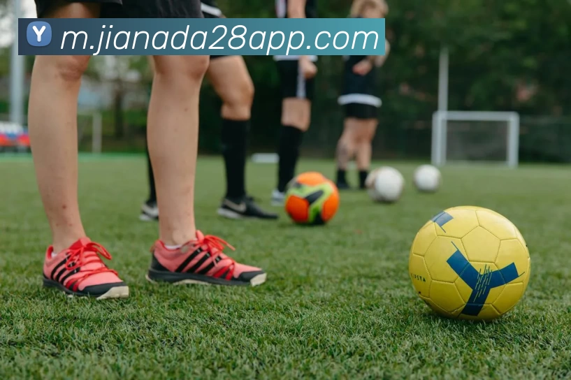 加拿大28APPAPP 封面图